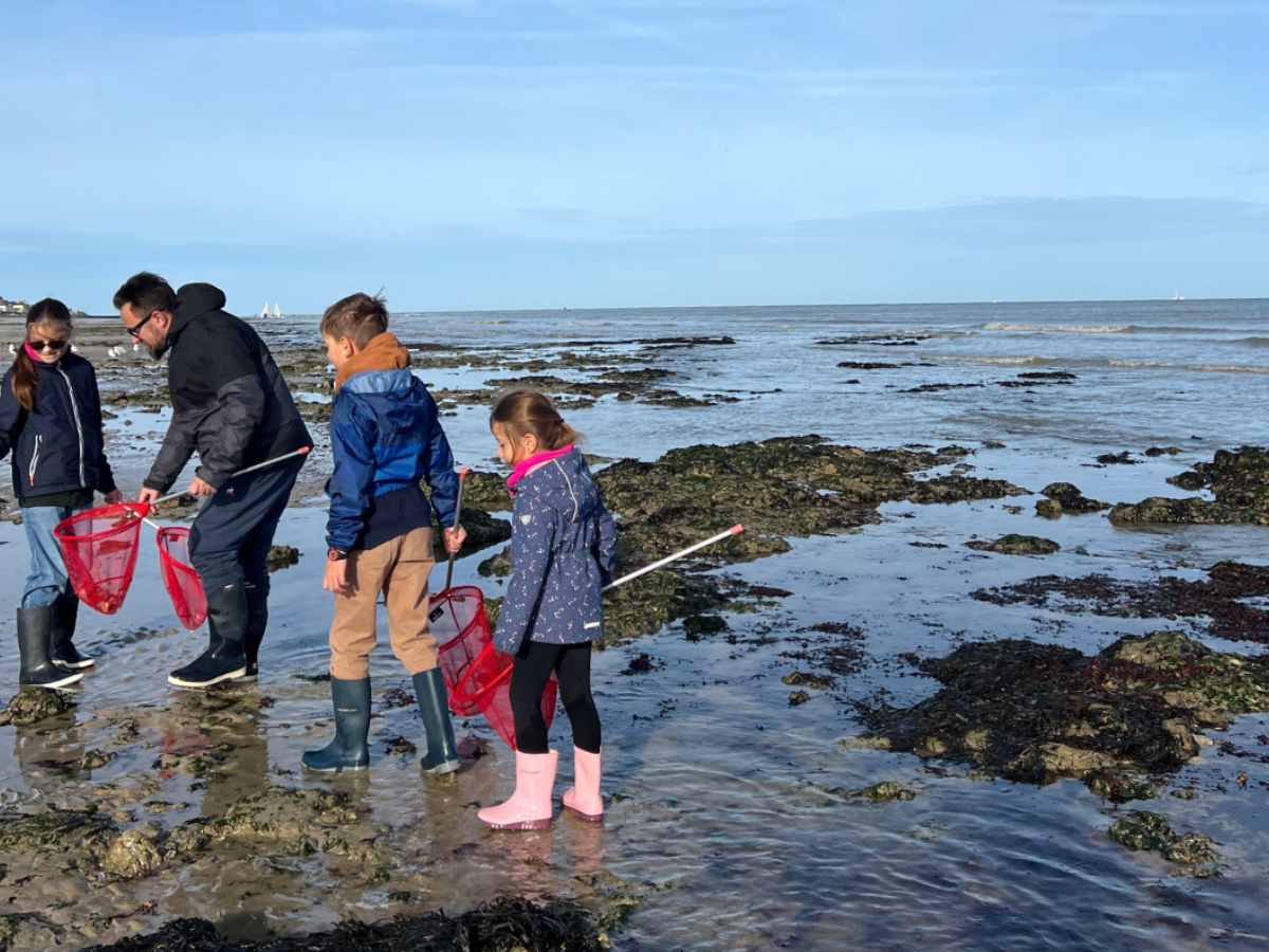 Sorties pêche à pied et découverte de l'estran, Luc-sur-Mer