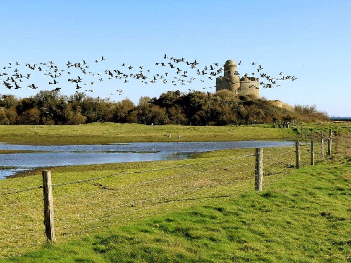 Musée maritime de Tatihou, Saint-Vaast-la-Hougue - photo 10