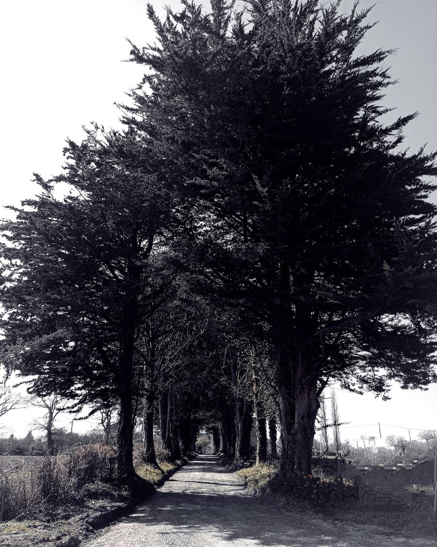 Cidrerie de la Chesnaie — photo 2