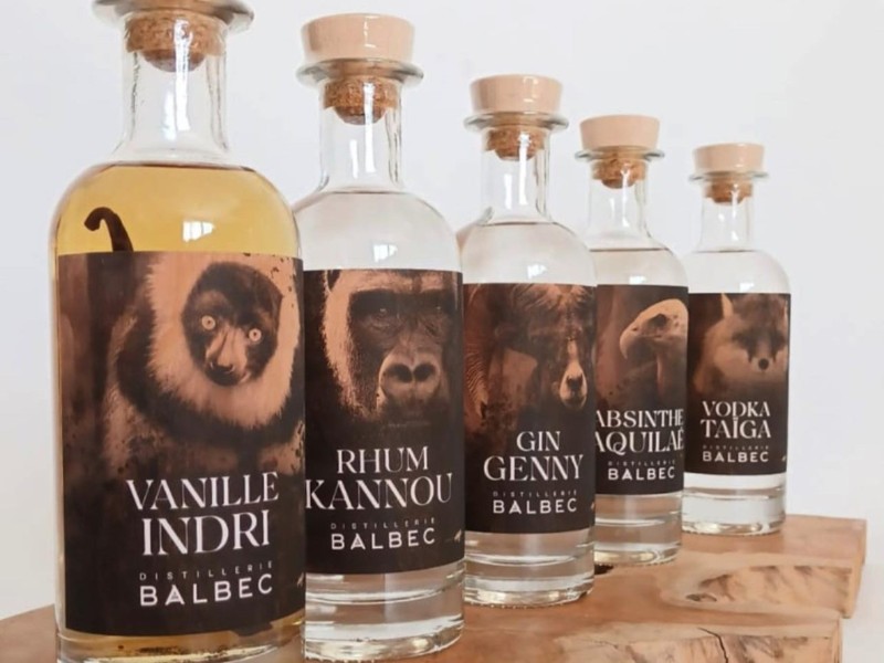 Distillerie Balbec, Moult-Chicheboville - photo 3