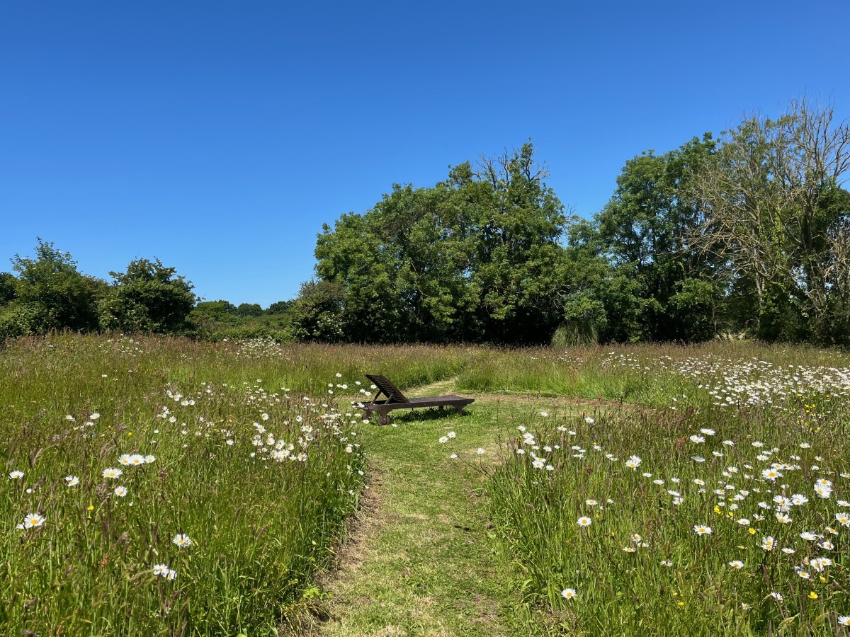 Meublé de tourisme > La Maison de Mary, Anneville-en-Saire - photo 17