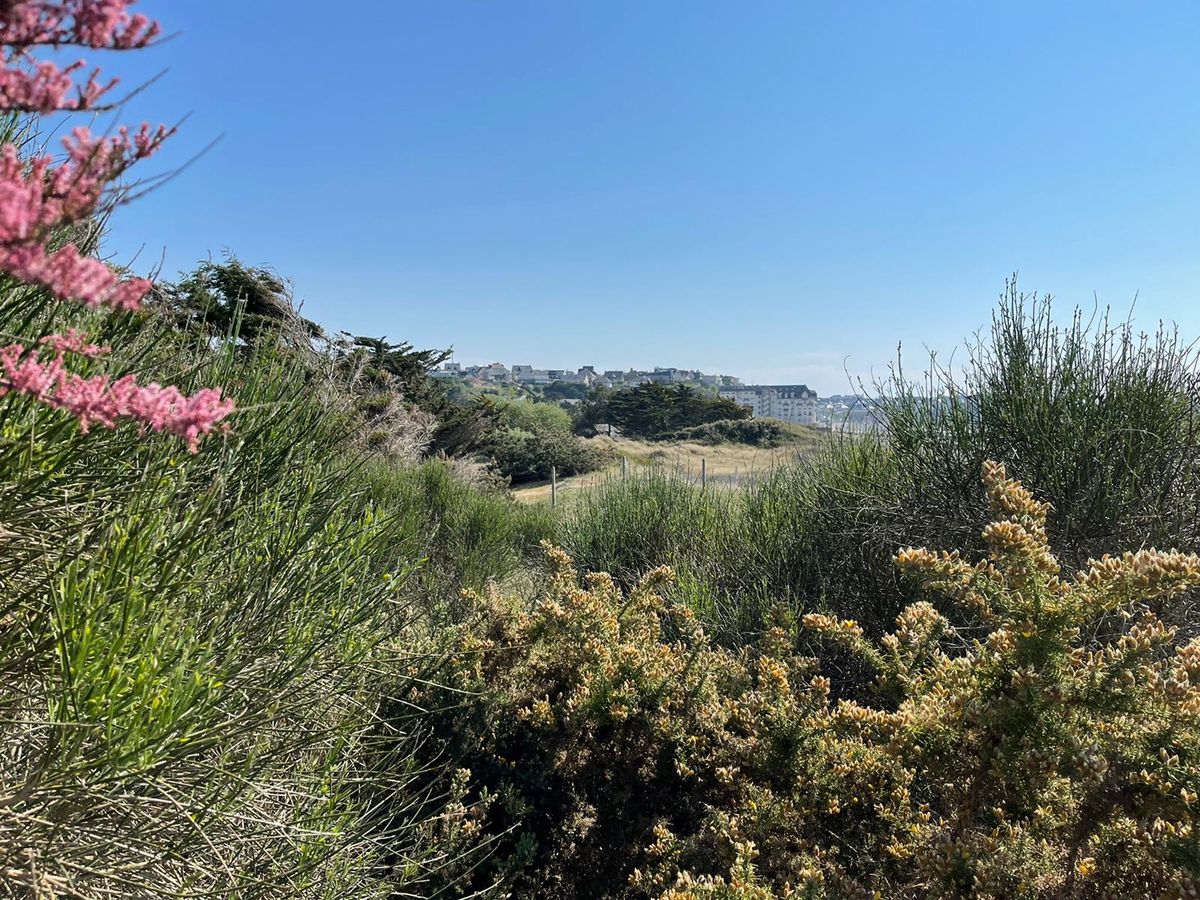 Meublé de tourisme > Les Chardons Bleus n°24