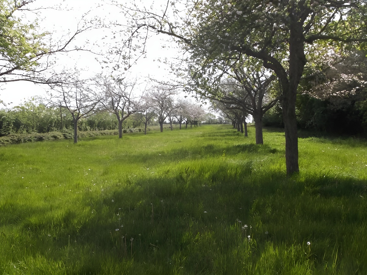 Ferme Saint-Blaise, Isigny-sur-Mer - photo 2