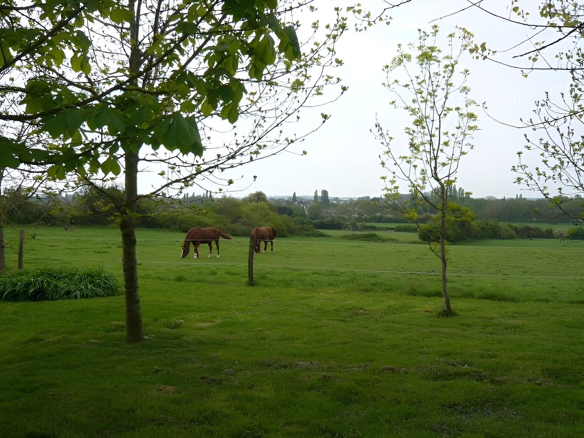 La Ferme de la Londe, Mézidon Vallée d'Auge - photo 6