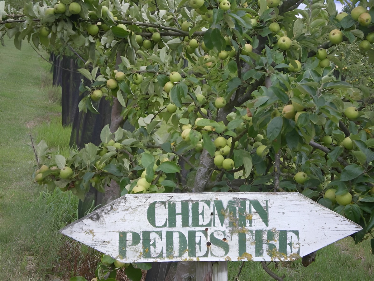 Chambres d'hôtes La Maison de Nelly