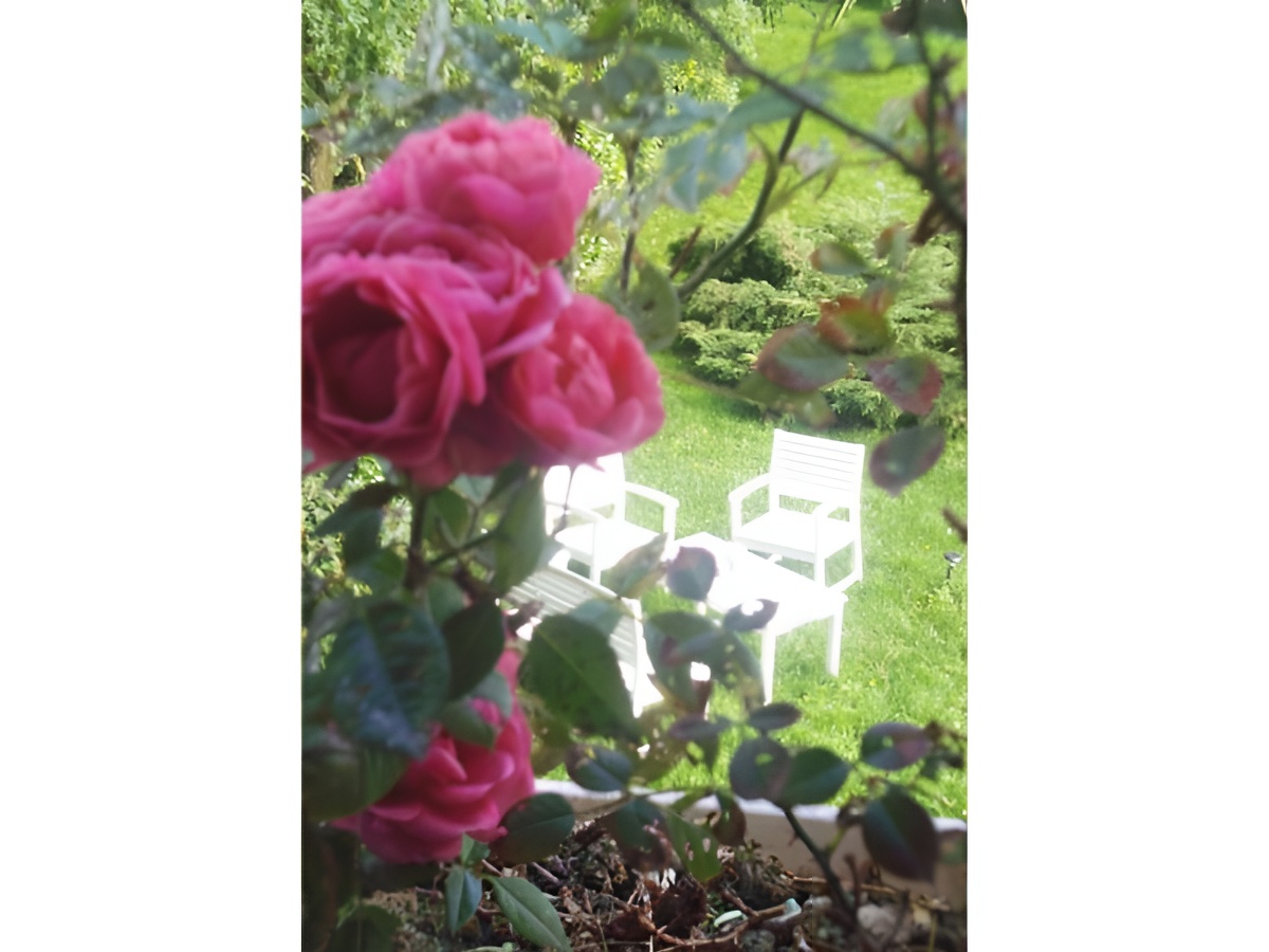 La Ferme des Châtaigniers, Vienne-en-Bessin - photo 8