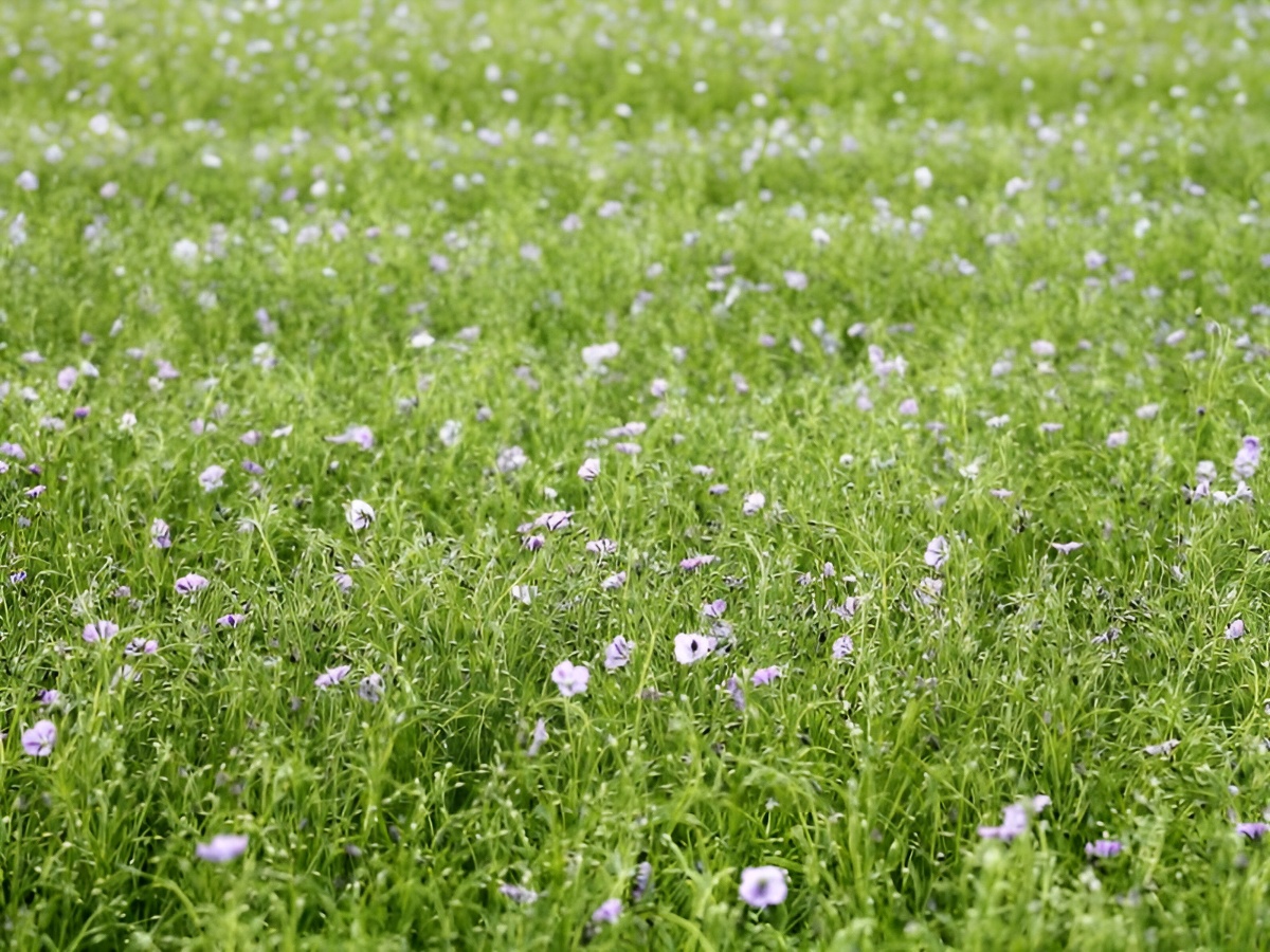 La Ferme des Châtaigniers, Vienne-en-Bessin
