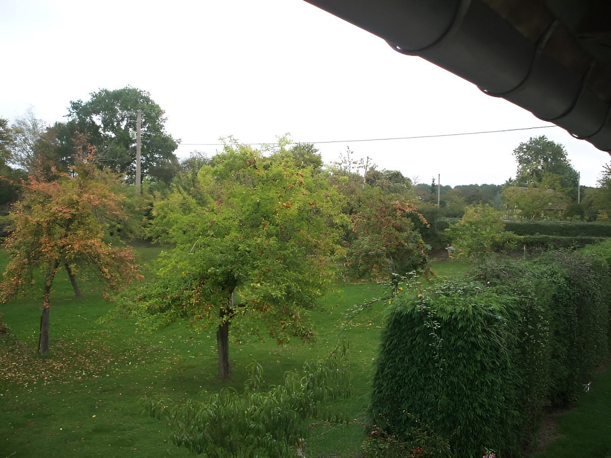 Christiane Six, Marolles - photo 4