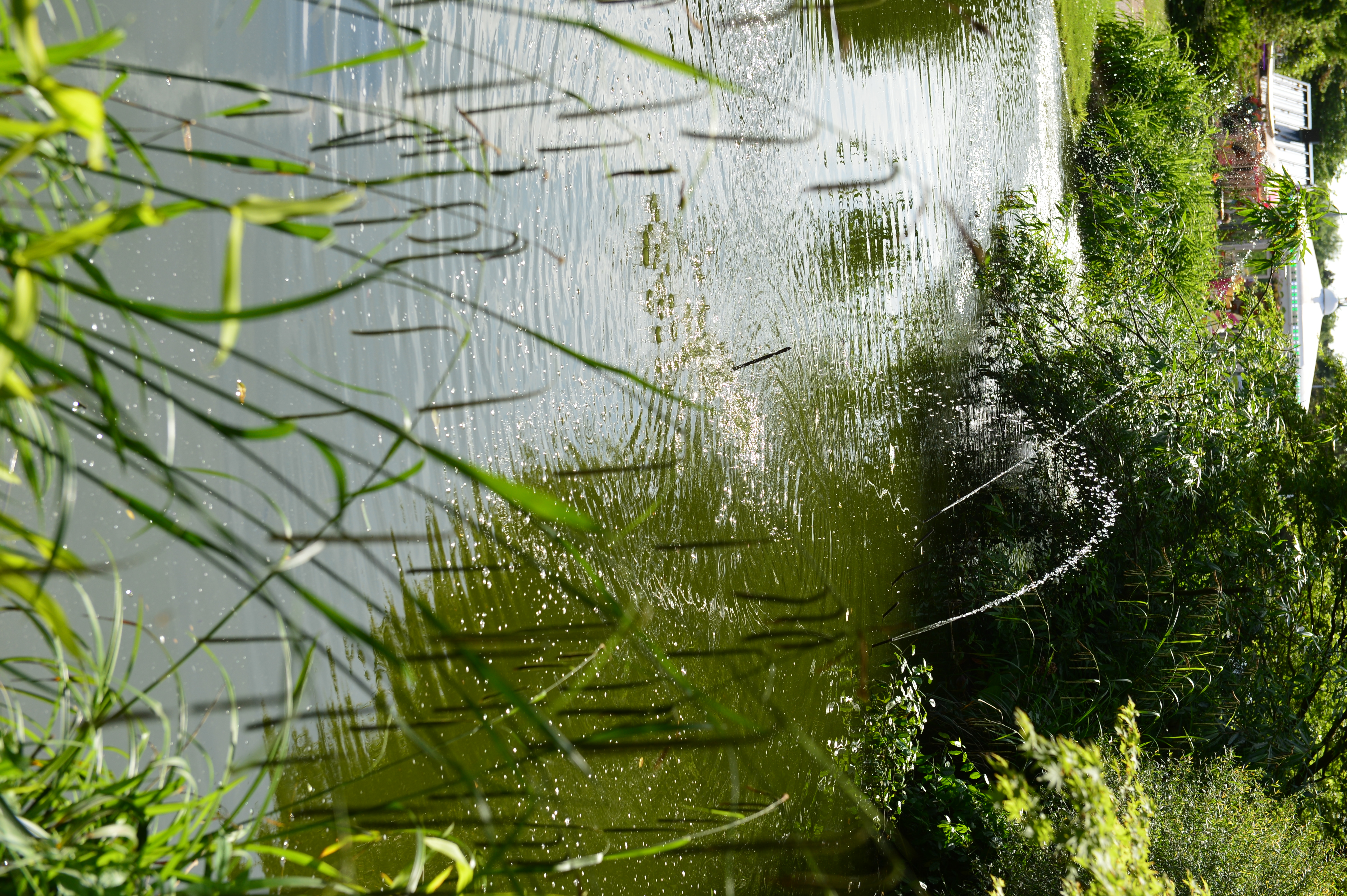 Découvrez les champions du grand bassin !