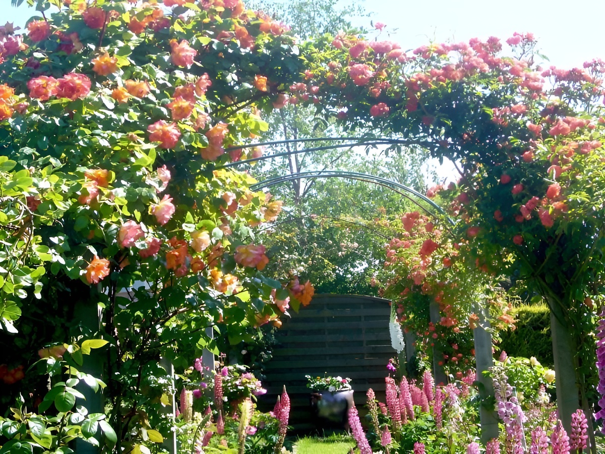 La Roseraie - Chambre La Rose de Ronsard — photo 2