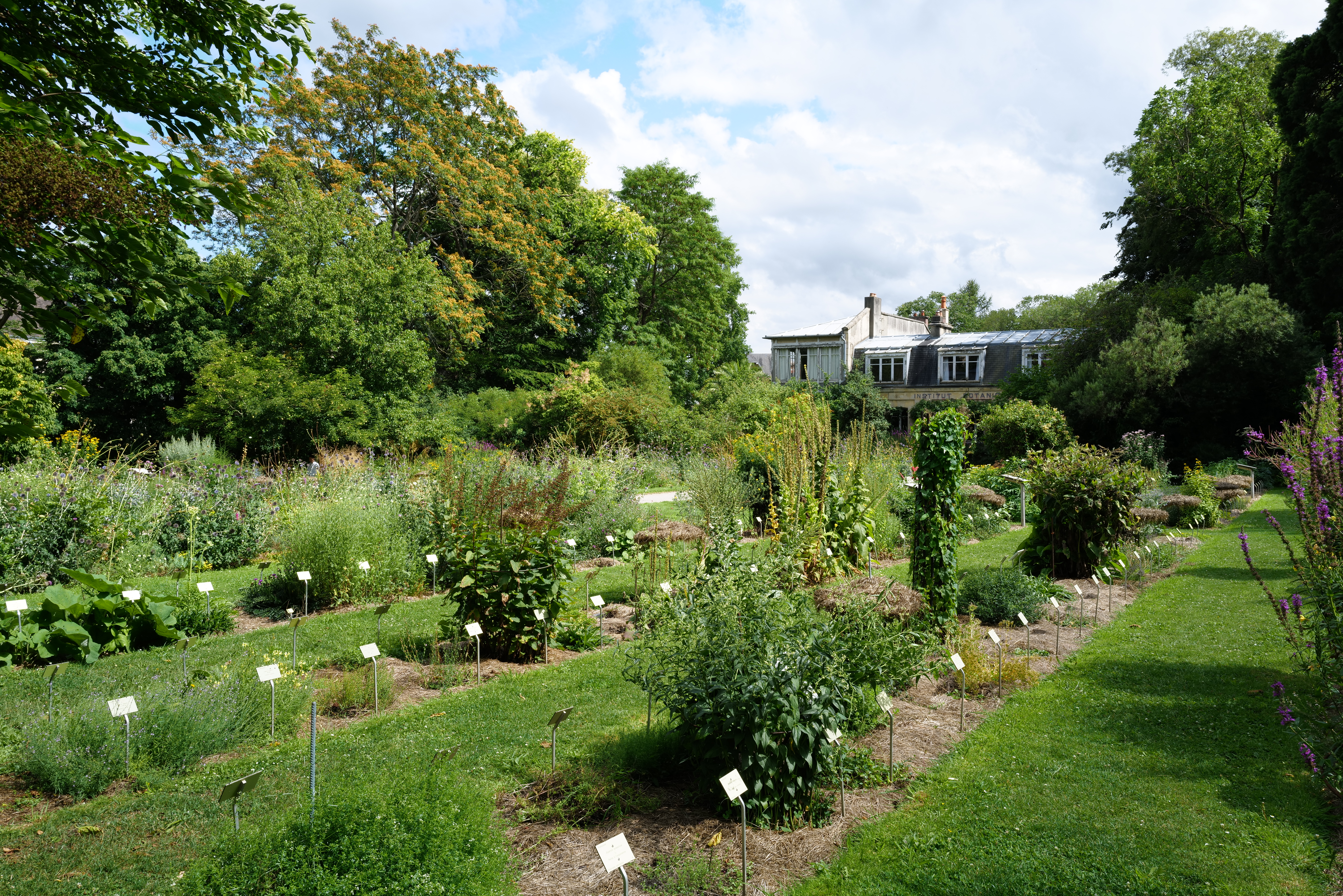 De la ville au jardin : comment réduire le débit d'eau ? 