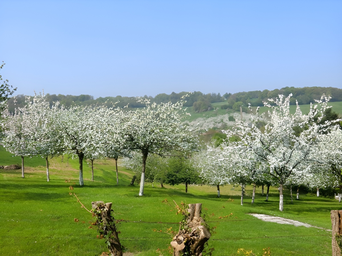 Les Marronniers, Cambremer - photo 13