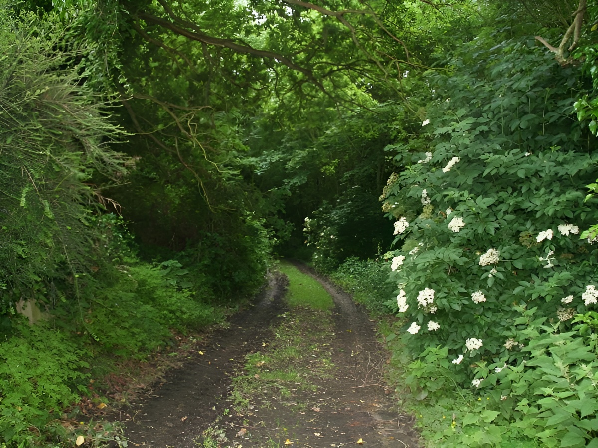 Les Marronniers, Cambremer - photo 4