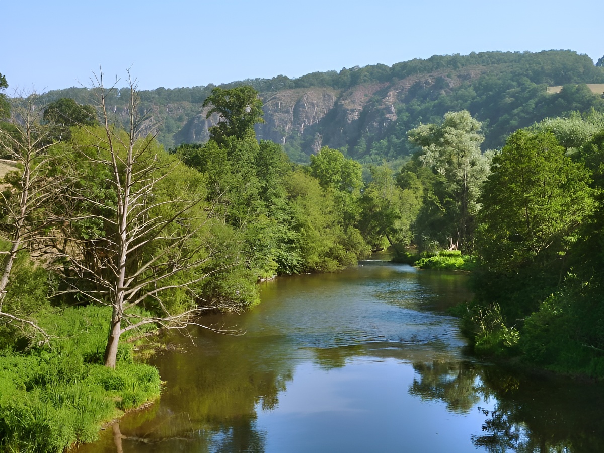 Le Manoir de Placy, Clécy - photo 22