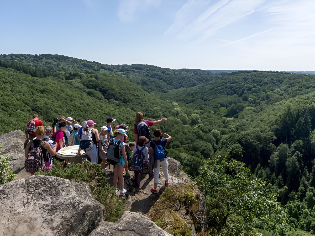 Le Manoir de Placy, Clécy - photo 6