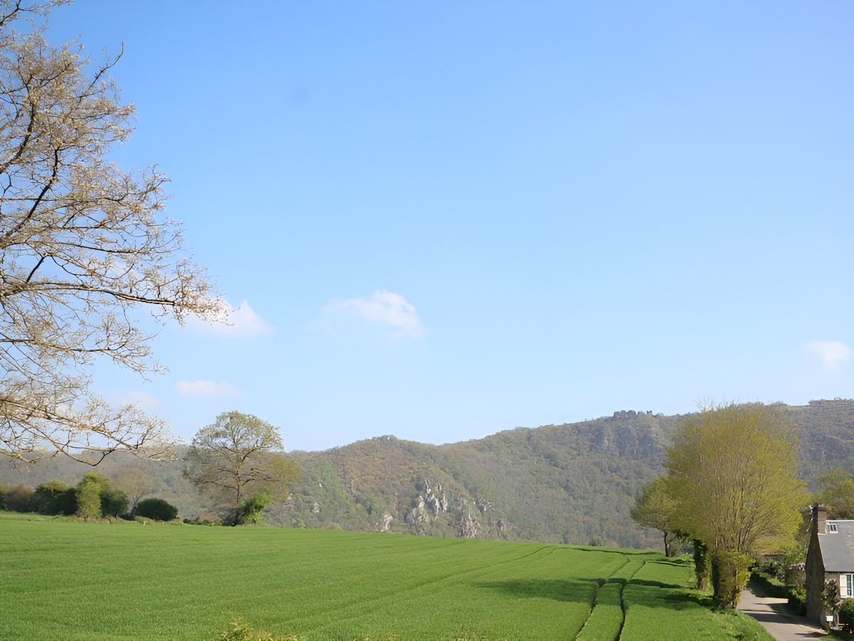 Le Manoir de Placy, Clécy - photo 19