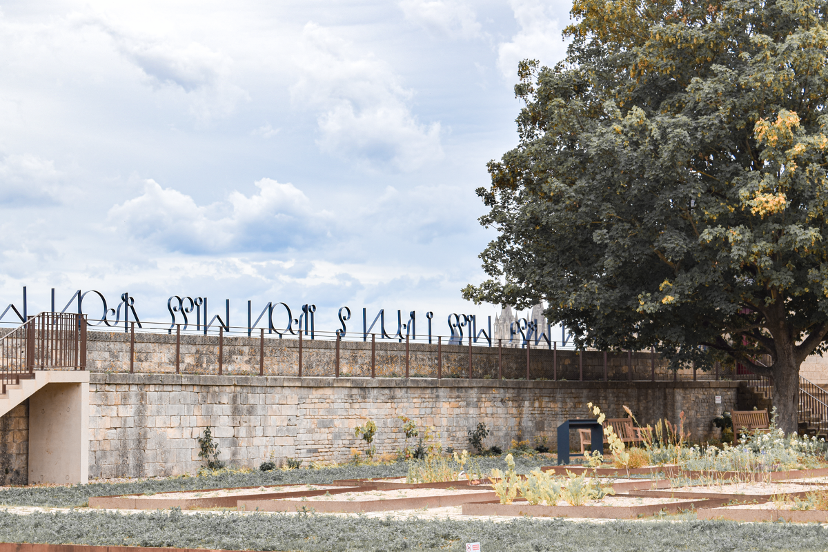 Iron Will - œuvre de Elvire Bonduelle