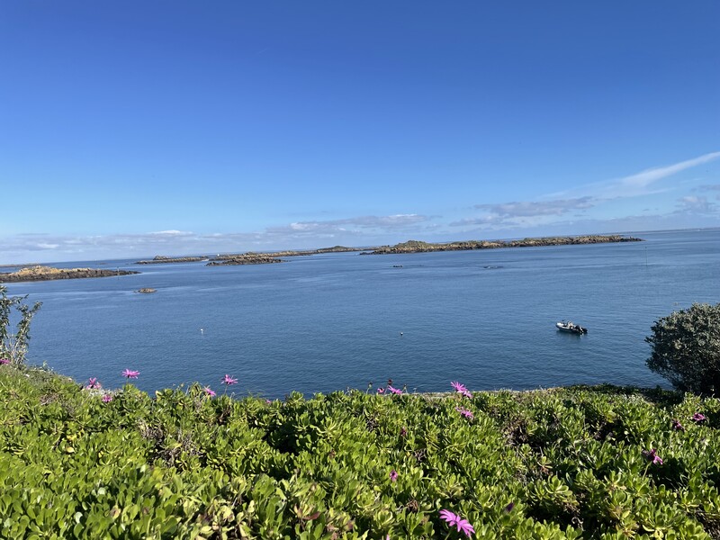 Chambre d'hôtes, Bréhal - photo 3