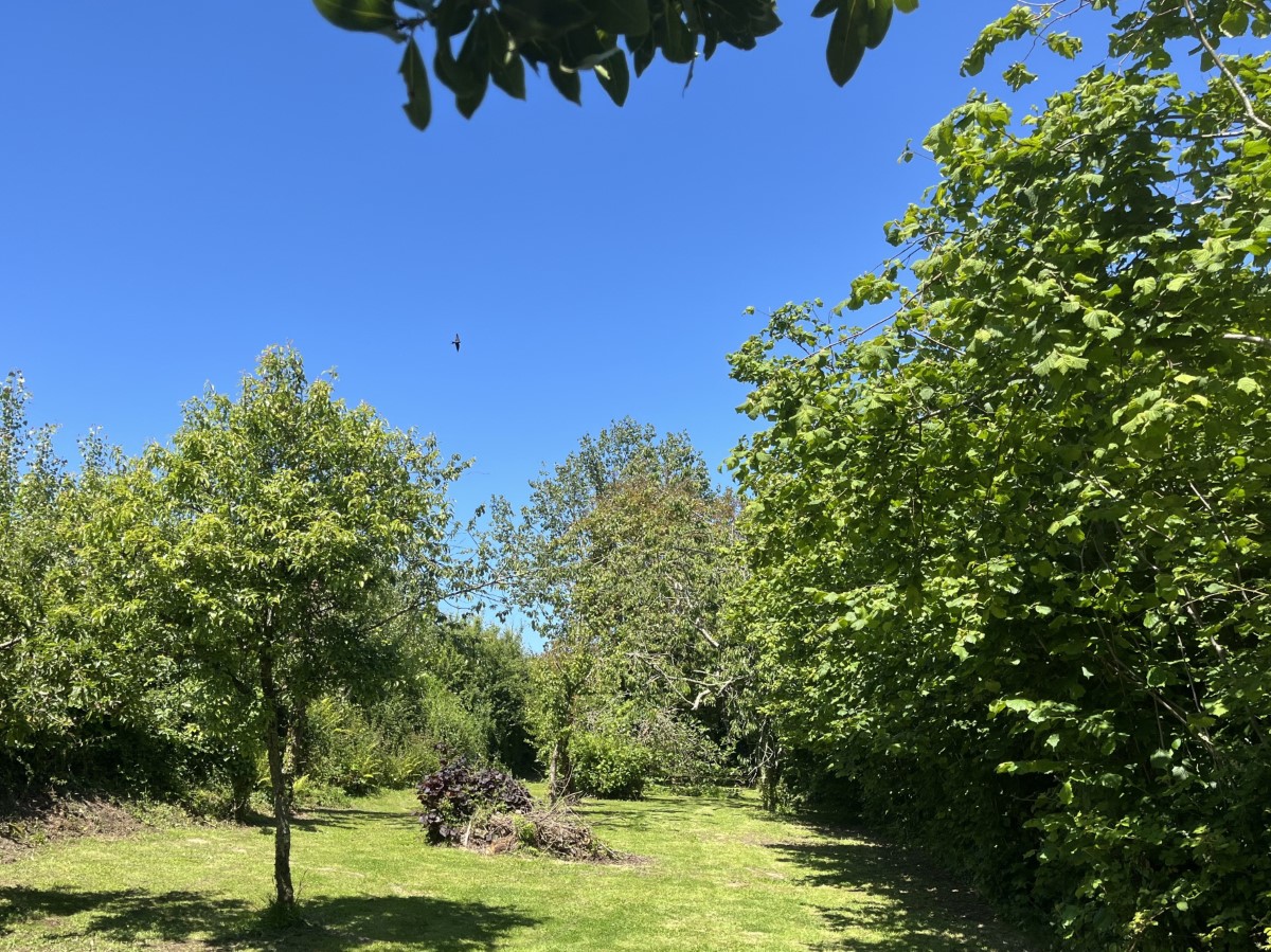 Meublé de tourisme > La Maison de Mary, Anneville-en-Saire - photo 10