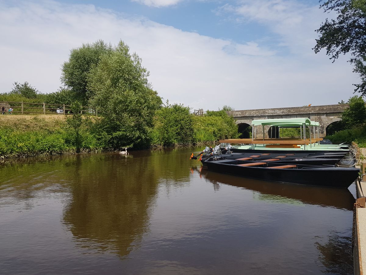 Les Bateliers des Marais du Cotentin > Location de barques électriques, Carentan-les-Marais - photo 7