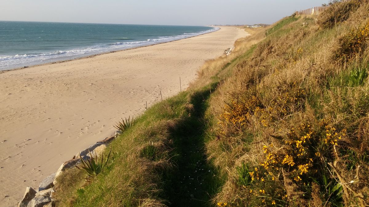 Meublé de tourisme > Les Chardons Bleus n°32, Donville-les-Bains - photo 9
