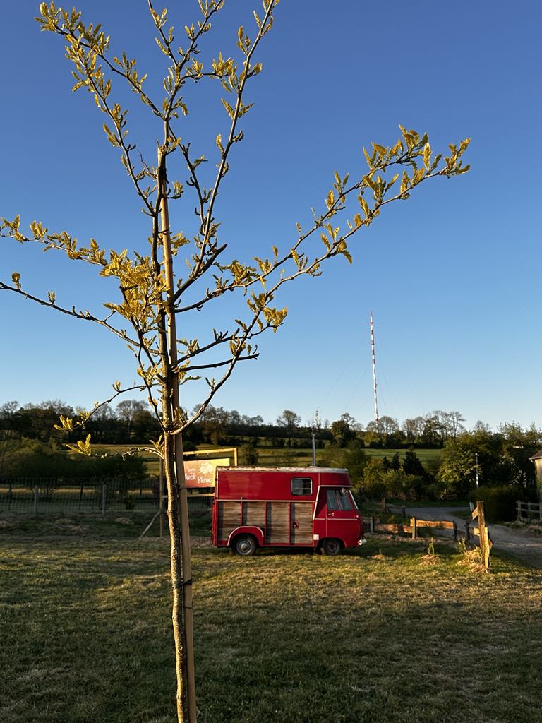 Le Parc du Yack Blanc, Les Monts d'Aunay - photo 2