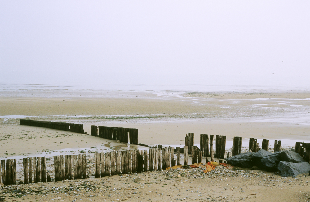 Mais qui se cache dans ce marais de Ver-sur-Mer/ Meuvaines ?, Ver-sur-Mer - photo 3
