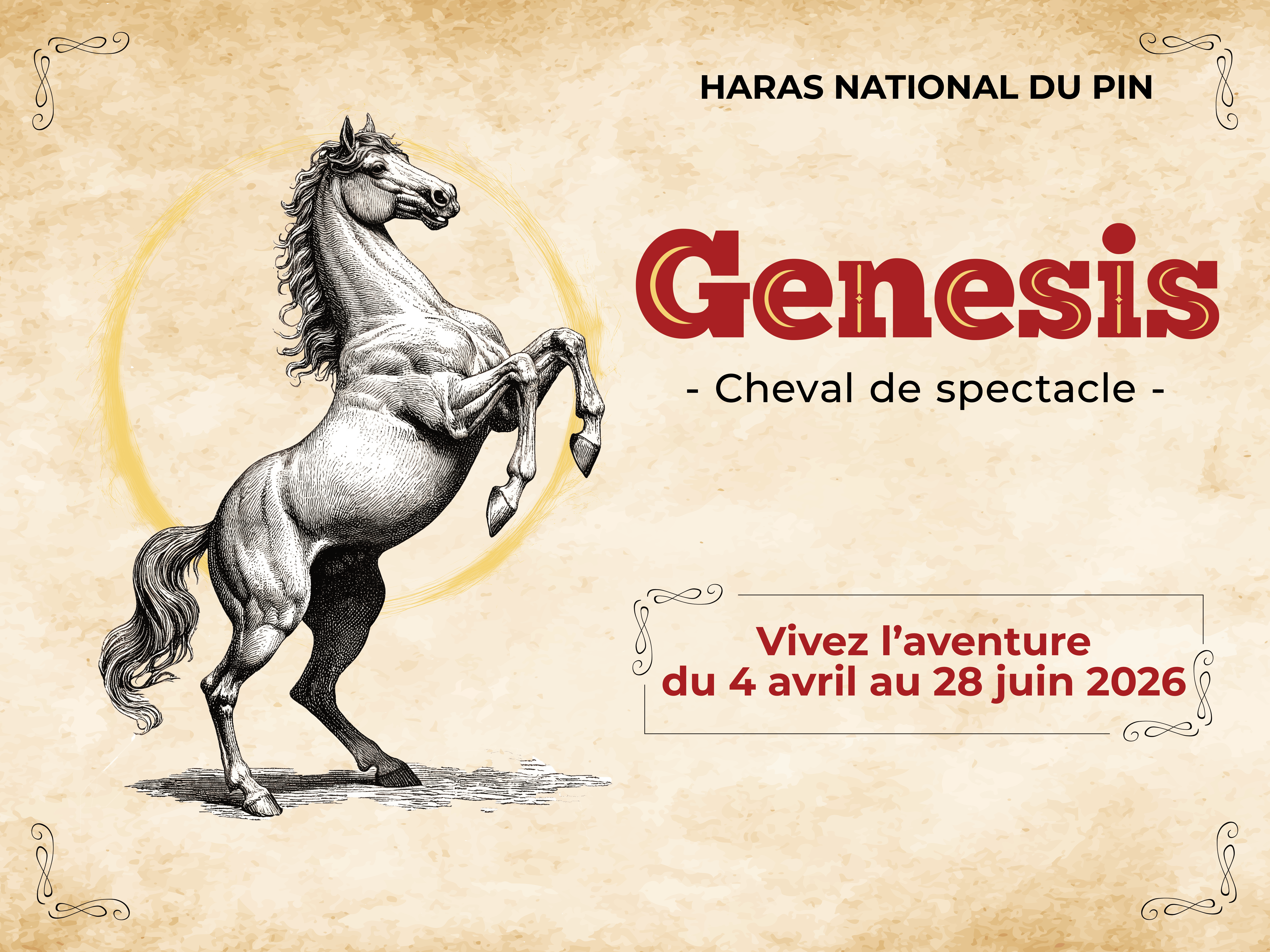 Spectacle équestre : Genesis, cheval de spectacle - L'incroyable aventure