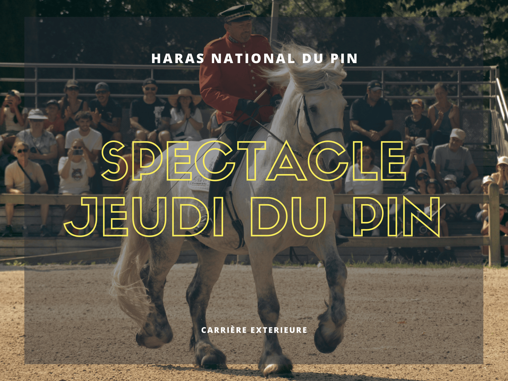 Les Jeudis du Pin