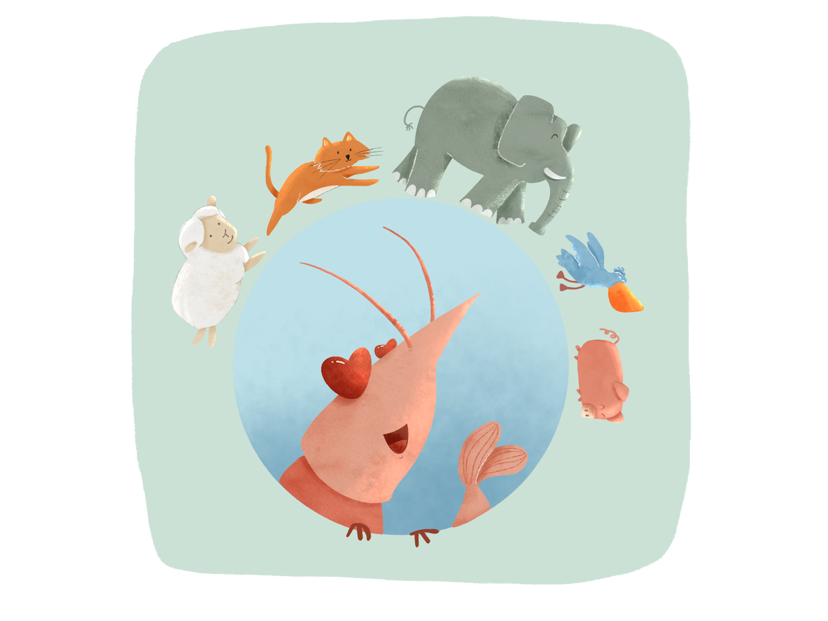 En piste Lulu, Honfleur - photo 8