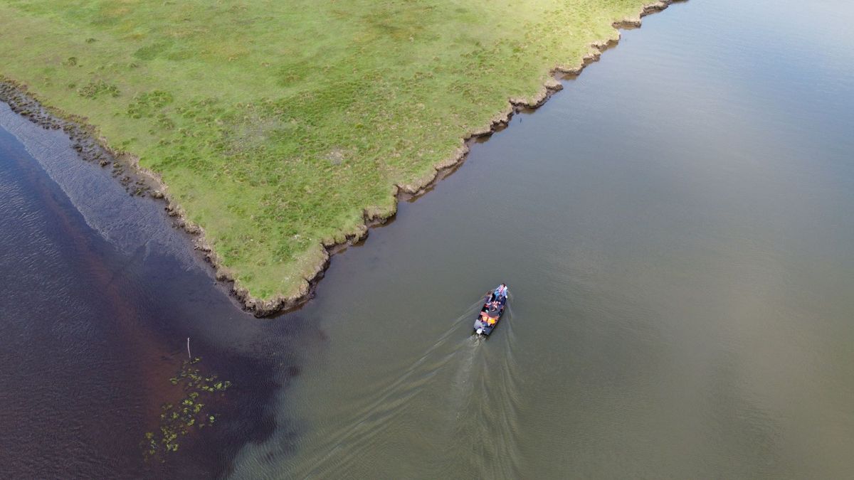 Les Bateliers des Marais du Cotentin > Location de barques électriques, Carentan-les-Marais - photo 11