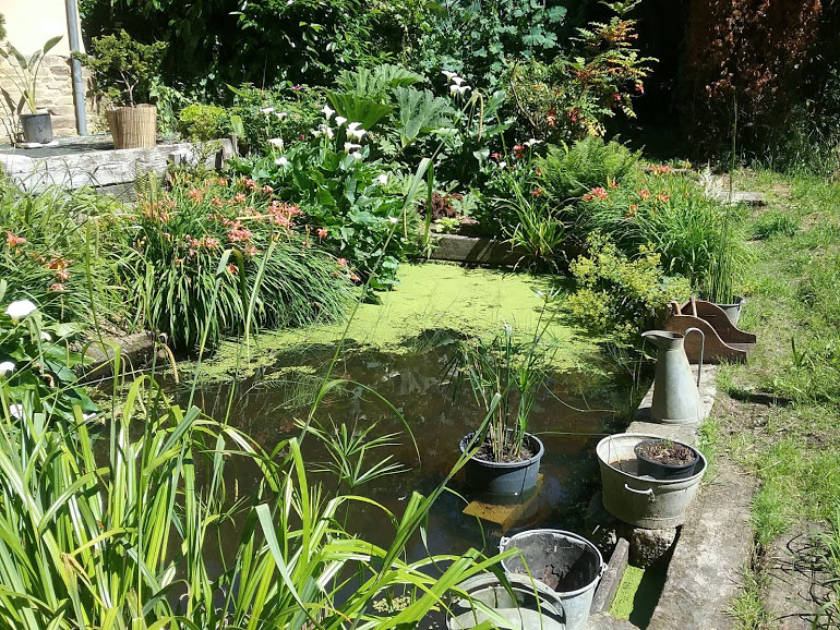 Chambre d'Hôtes > La Meauffre, Longueville - photo 5