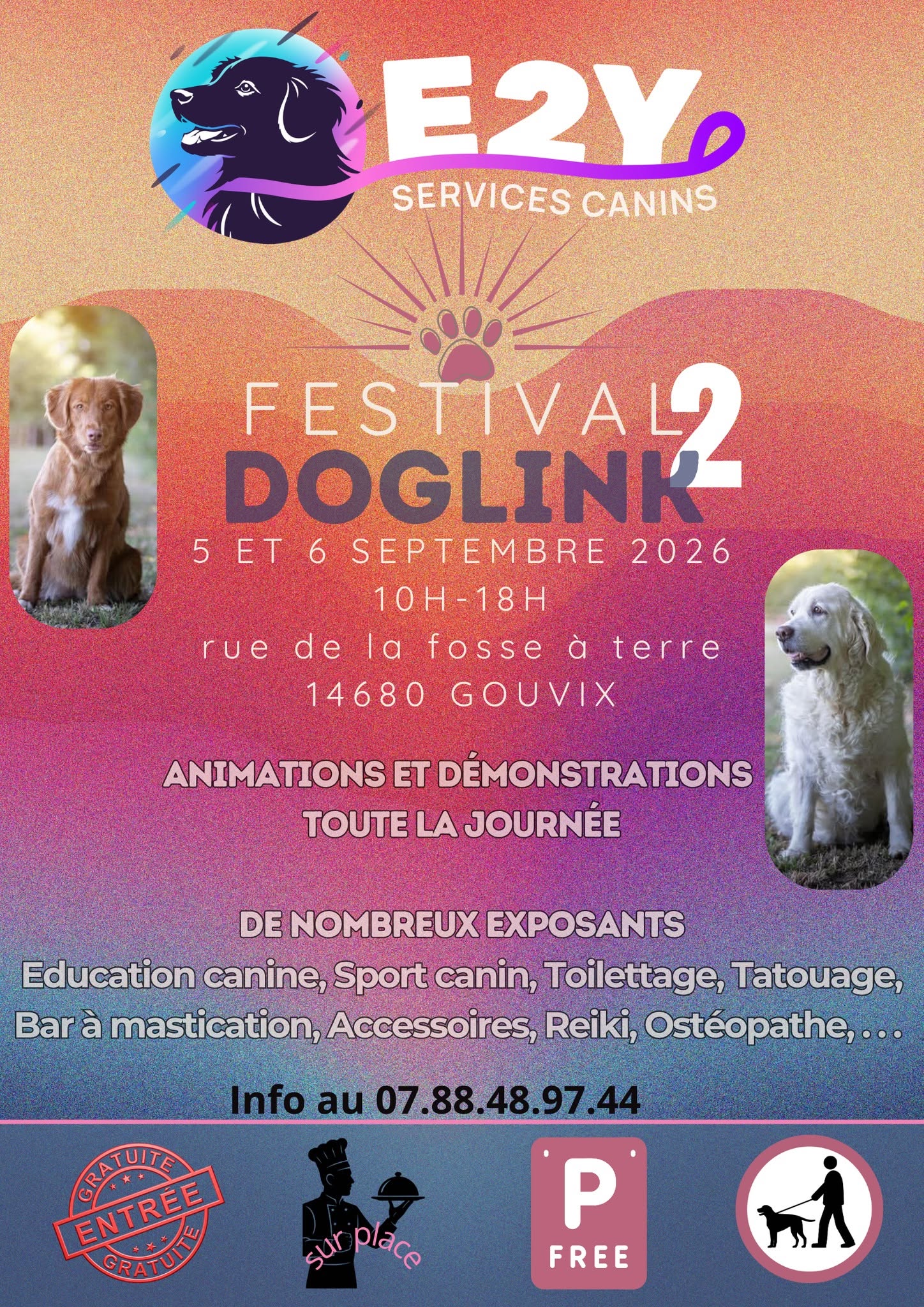 Festival DogLink