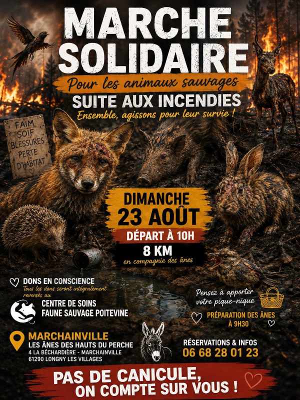 Marche solidaire