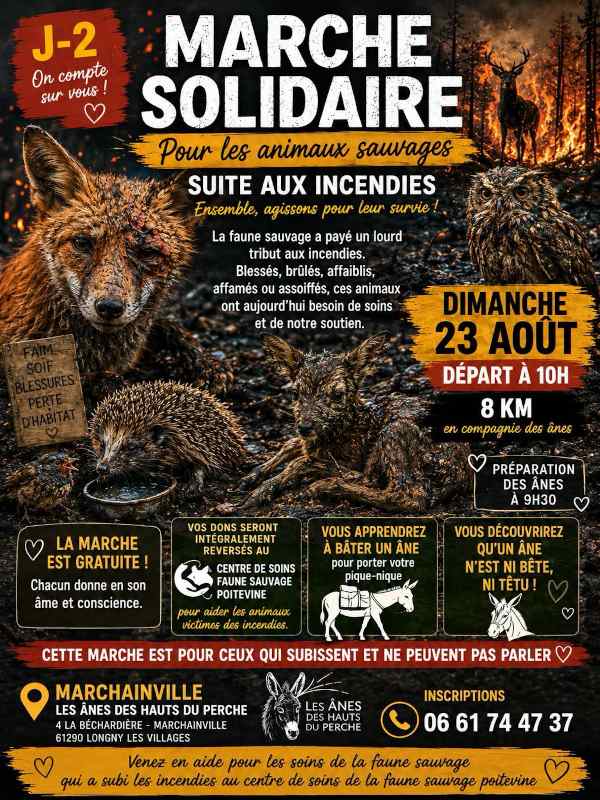 Marche solidaire