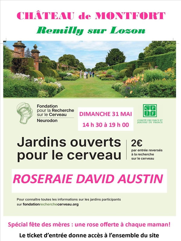 Jardins ouverts pour le cerveau