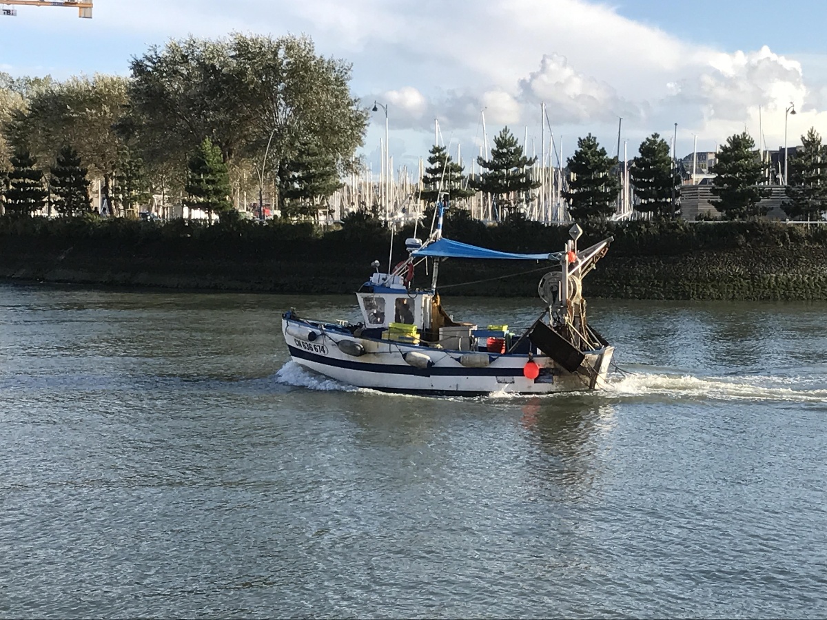 La Perle des Bains, Trouville-sur-Mer - photo 12