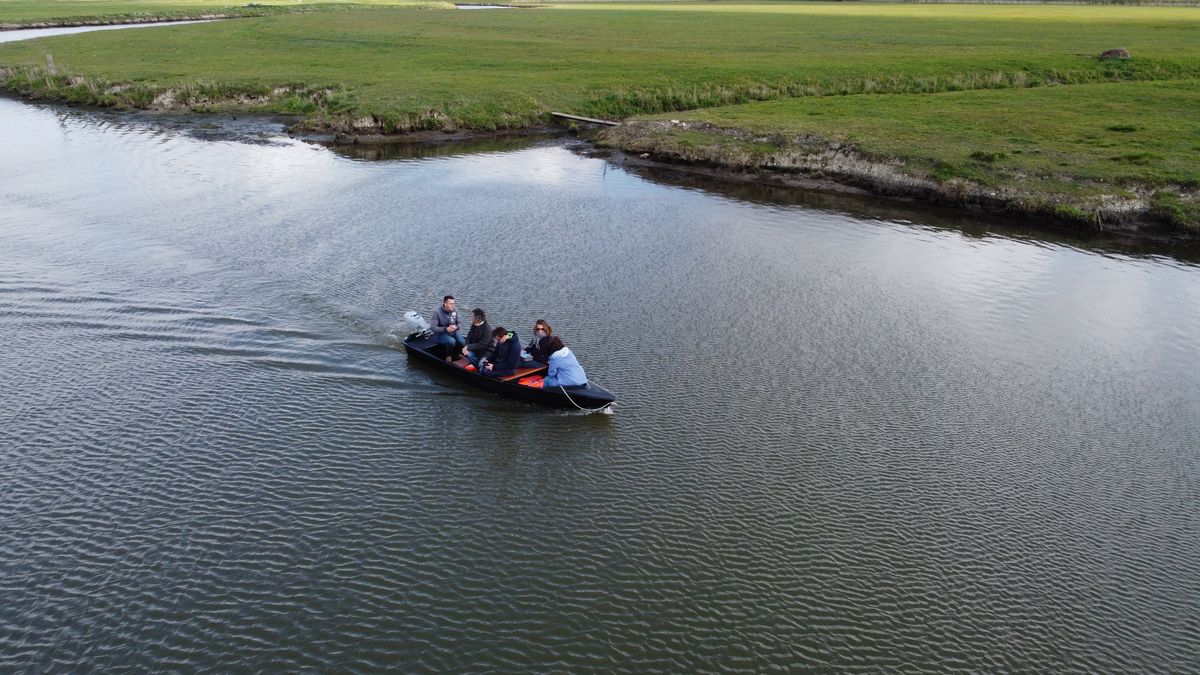 Les Bateliers des Marais du Cotentin > Location de barques électriques, Carentan-les-Marais - photo 18