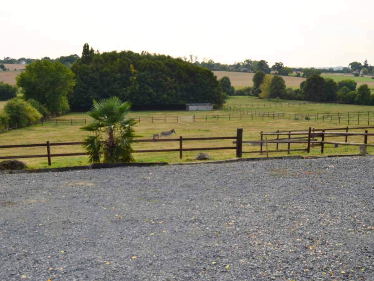 Gîte à la Ferme au paradis des Anes, Saint-Pierre-en-Auge