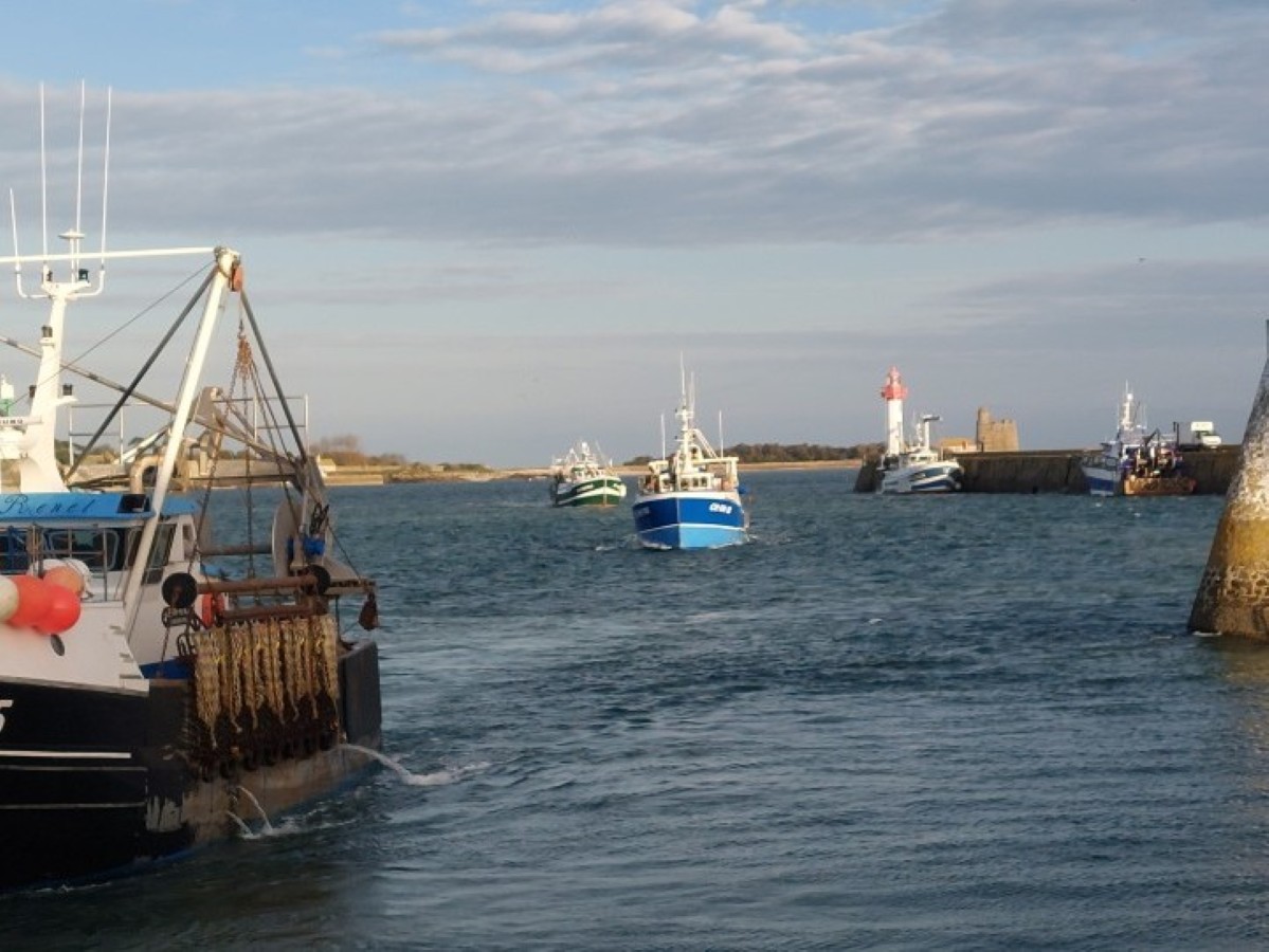 Clévacances H8290, Saint-Vaast-la-Hougue