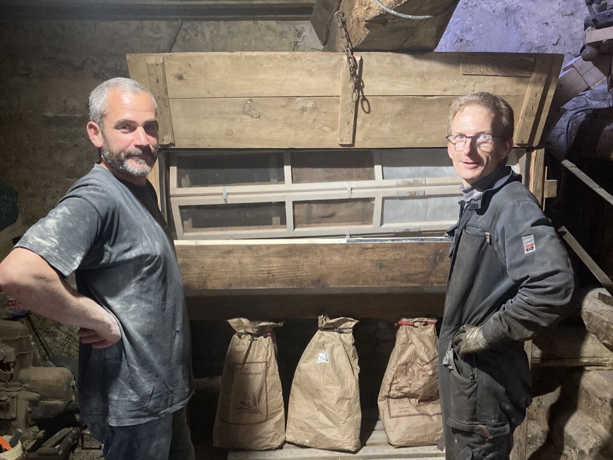 Moulin de la Ville, Négreville - photo 4