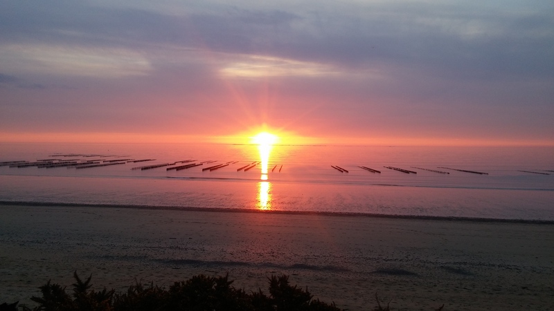 Meublé de tourisme > Les Chardons Bleus n°32, Donville-les-Bains - photo 4