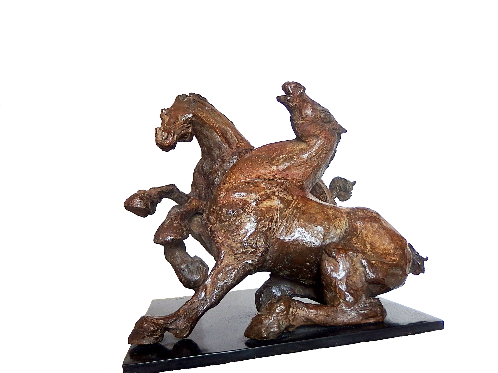 Exposition d'Agnès Aubert  « Les chevaux et la mer »