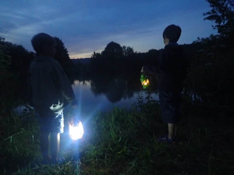 Animation nature - insectes nocturnes