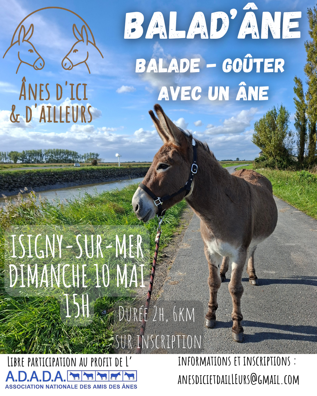 Balad'âne — visuel événement