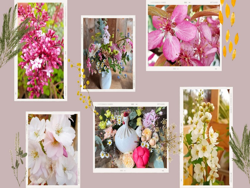 Arts et Jardin - Livarot
