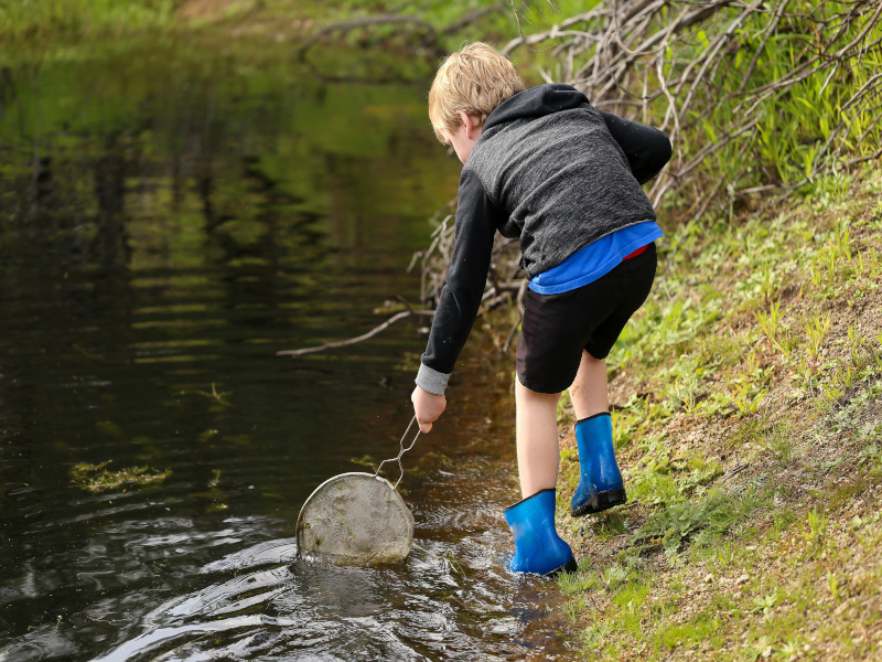 Découverte des petites bêtes de l’eau au parc des tanneries