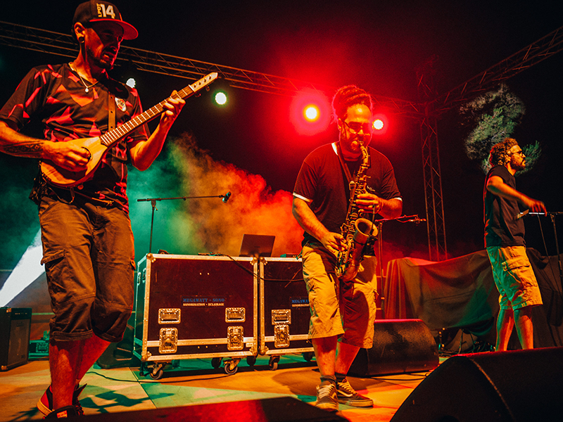 38ᵉ Festival Sable Show - Afrasonic