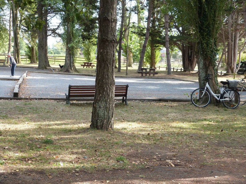 Aire de Pique Nique > Mare de L'essay - photo 4