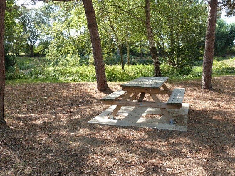 Aire de Pique Nique > Mare de la commune - photo 5